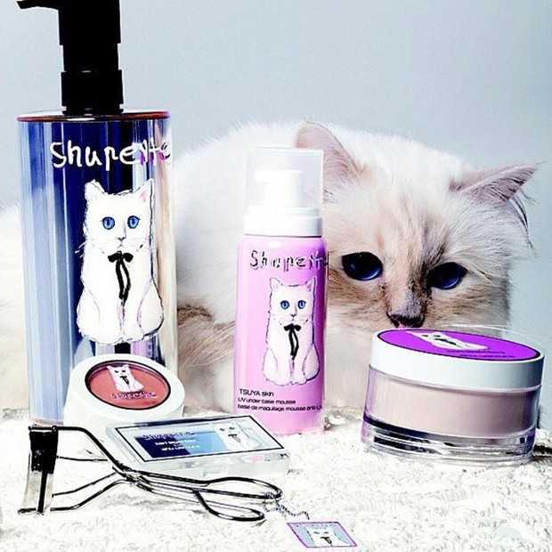 Choupette, a gatinha de Karl Lagerfeld (Foto: Reprodução/Instagram)