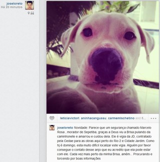 José Loreto fala sobre desaparecimento de Brisa (Foto: Instagram / Reprodução)
