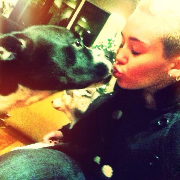 Miley Cyrus dá beijo em seu cachorro e deseja feliz natal para fãs (Foto: Instagram)