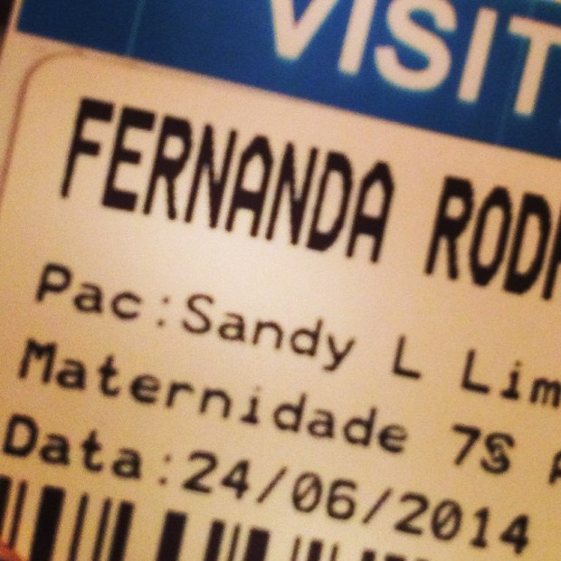 Fernanda Rodrigues visita Sandy e Theo (Foto: Reprodução/ Instagram)