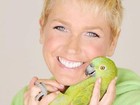 Xuxa lamenta morte de seu papagaio: 'Hoje ele voou pro céu'