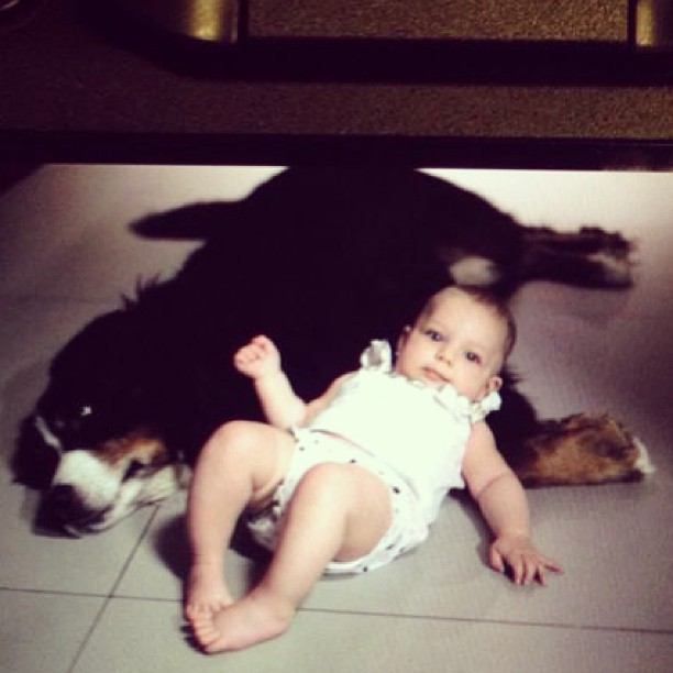Brenda, filha de Sheila Mello e Fernando Scherer, com cachorrinho (Foto: Instagram / Reprodução)