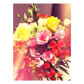 Bruna Marquezine posta foto de flor com frase enigmática (Foto: Instagram / Reprodução)