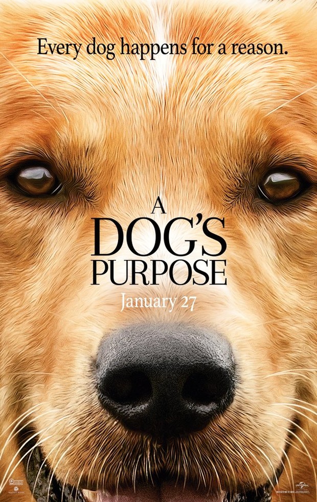 Cartaz do filme Quatro Vidas de Um Cachorro (Foto: Dilvulgação/ IMDB)