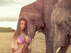 Carol Saraiva posa de biquíni entre elefantes na África 
