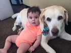 Luisa Mell posta foto do filho com o cachorro: 'Grandes cãopanheiros'
