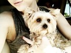 Miley Cyrus posta foto com cachorrinho: 'Sessão de abraço'
