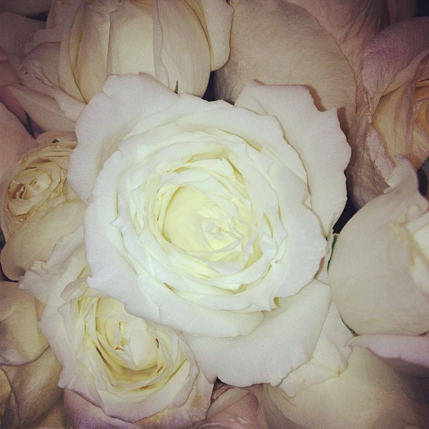 Flores que a apresentadora ganhou (Foto: Reprodução/Instagram)