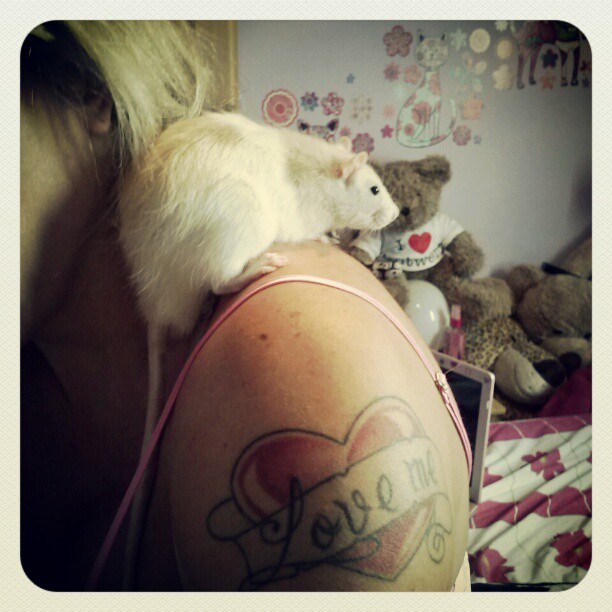 Sabrina Boing Boing posta foto com ratinho (Foto: Instagram / Reprodução)