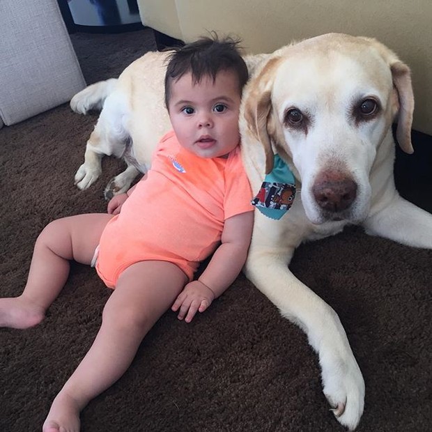 Luisa Mell posta foto do filho com o cachorro (Foto: Reprodução/Instagram)