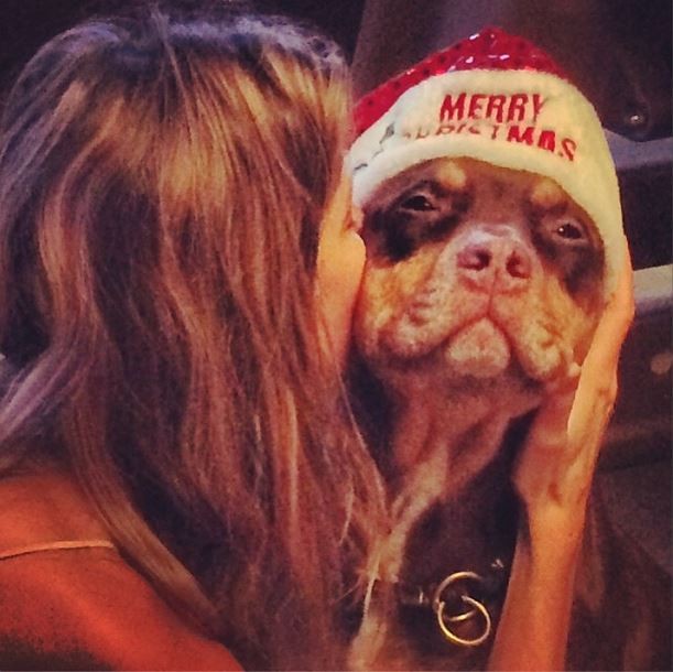 Gisele Bundchen dá beijo em cachorro e deseja Feliz Natal (Foto: Instagram / Reprodução)