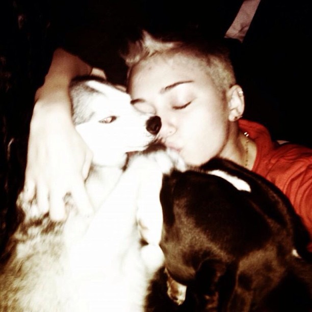 Miley Cyrus posta foto com o cachorro (Foto: Instagram / Reprodução)