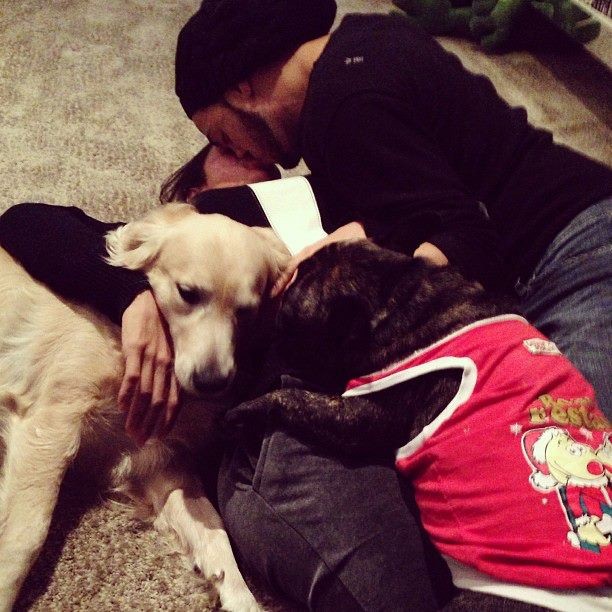Belo e Gracyanne com os cachorros (Foto: Instagram / Reprodução)