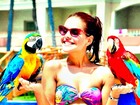 De biquíni, Paloma Bernardi posa com araras em Punta Cana
