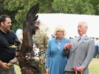 Príncipe Charles e Camilla Parker-Bowles se assustam com águia