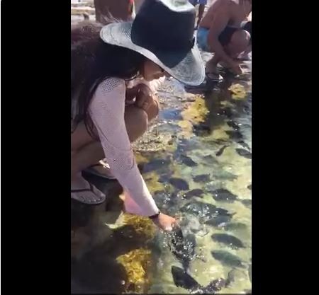 Talita tenta alimentar os peixes (Foto: Reprodução_Instagram)