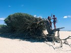 Isabella Santoni e Gabi Lopes curtem férias no Ceará e mostram fotos