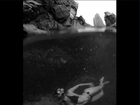 Carol Castro mostra corpaço de biquíni em foto de mergulho