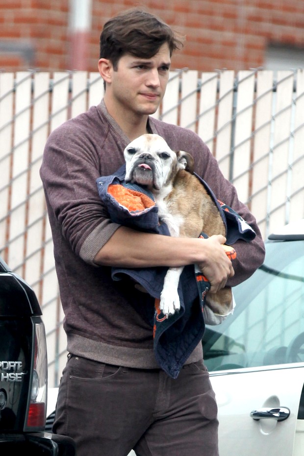 Ashton Kutcher leva seu cão ao veterinário (Foto: AKM-GSI)