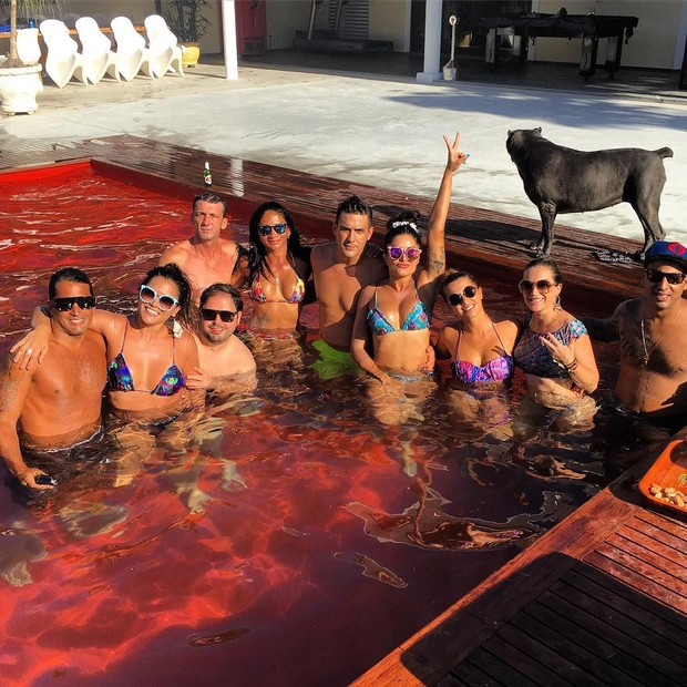 André Marques e Aline Riscado com amigos em piscina (Foto: Reprodução/Instagram)
