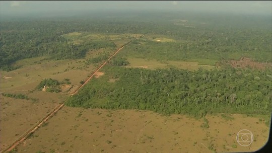 Amazônia: Temer diz a Gisele Bündchen que vetou reduzir áreas de preservação