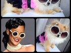 Karina Bacchi posta foto de sua cadela vestida de Rihanna