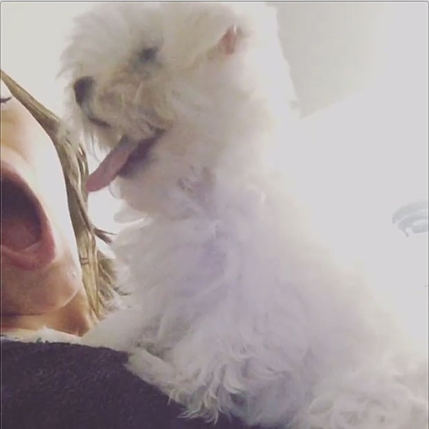Bruna Marquezine brinca com sua cadelinha (Foto: Instagram)