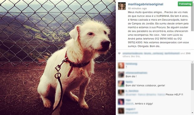 Vursinha, cachorra de Marilia Gabriela (Foto: Instagram/Reprodução)