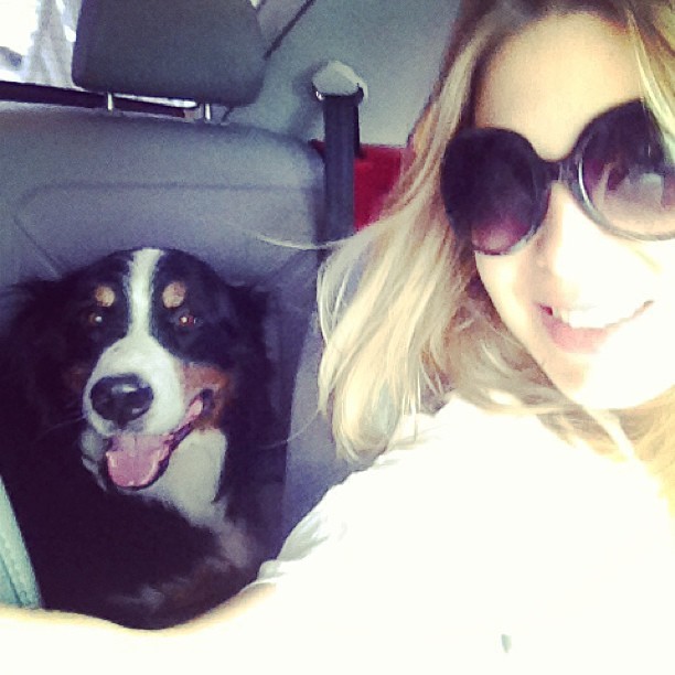 Sheila Mello e cachorrinho (Foto: Instagram / Reprodução)