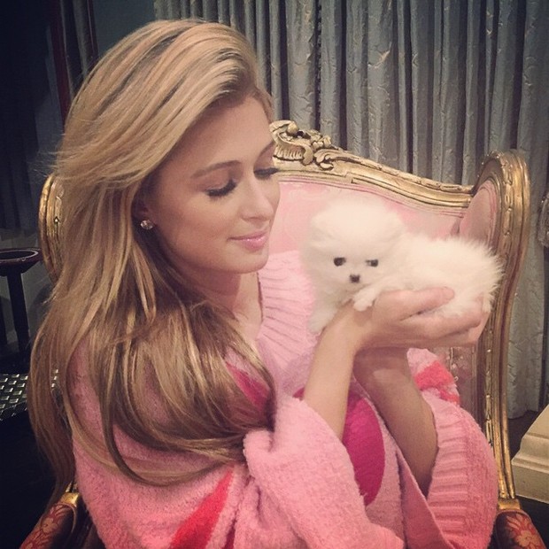 Paris Hilton (Foto: Instagram / Reprodução)