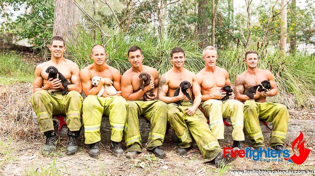 Bombeiros sarados e gatos (Foto: Firefights Calendar Australia/ Reprodução)