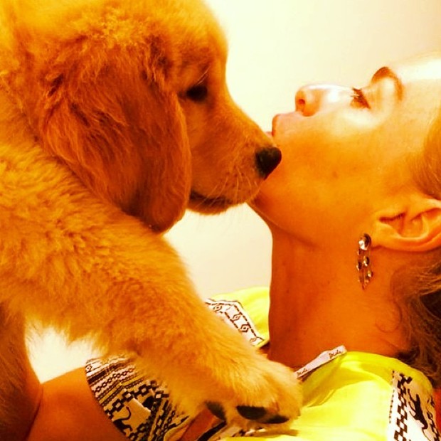 Angélica e seu novo cachorrinho de estimação (Foto: Instagram/ Reprodução)