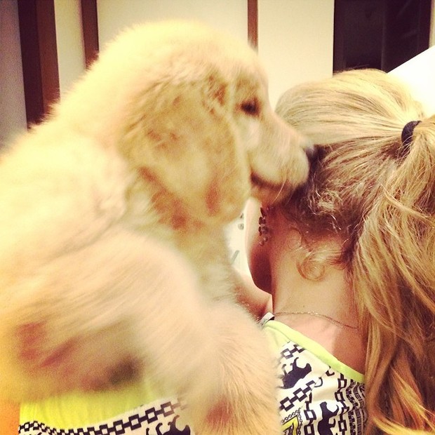Angélica e seu novo cachorrinho de estimação (Foto: Instagram/ Reprodução)