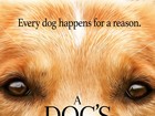 Autor de 'Quatro vidas de um cachorro' fala sobre vídeo polêmico