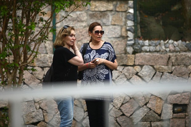 Sonia Abrão indo embora do sepultamento de Chorão (Foto: Iwi Onodera / EGO)