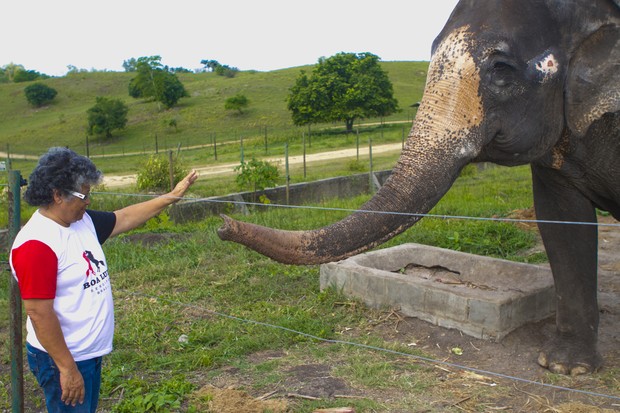 Elefante é um dos queridinhos de Marlene Mattos em hotel fazenda (Foto: Anderson Barros/EGO)
