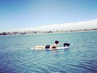 Lady Gaga curte dia de surfe com sua cadelinha