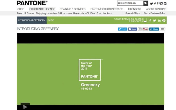 Pantone elege greenery como a cor de 2017 (Foto: Reprodução/Site Oficial)