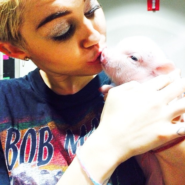 Miley Cyrus posa com porquinho (Foto: Instagram/ Reprodução)
