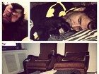 Latino publica foto dormindo com macaco de estimação