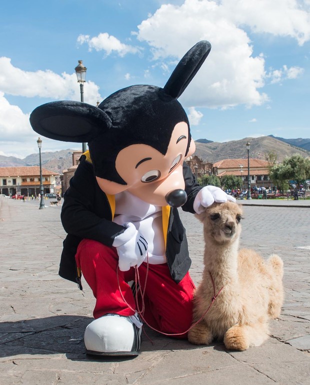 Mickey Mouse posa com uma lhama no Peru (Foto: Reprodução/Instagram)