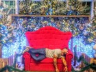 Ex-BBB Yuri brinca em foto que vai dormir na cadeira do Papai Noel 