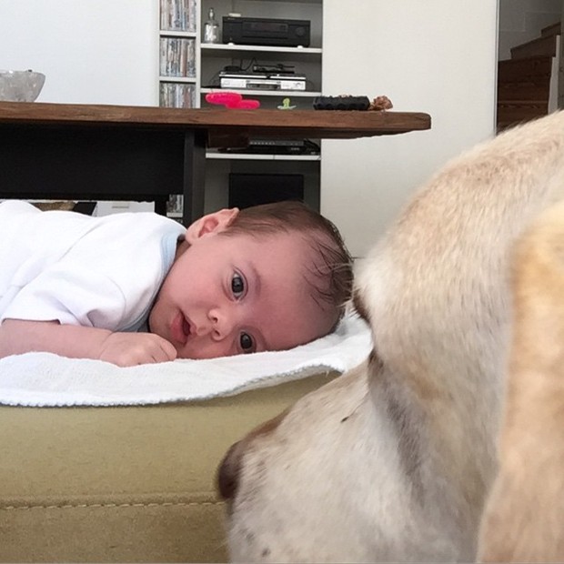 Luisa Mell posta foto do filho com o cachorro (Foto: Instagram / Reprodução)