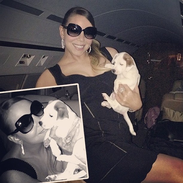 Mariah Carey apresenta cachorrinho da família (Foto: reprodução/Instagram)