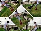 Fiuk se diverte brincando com cachorros em jardim
