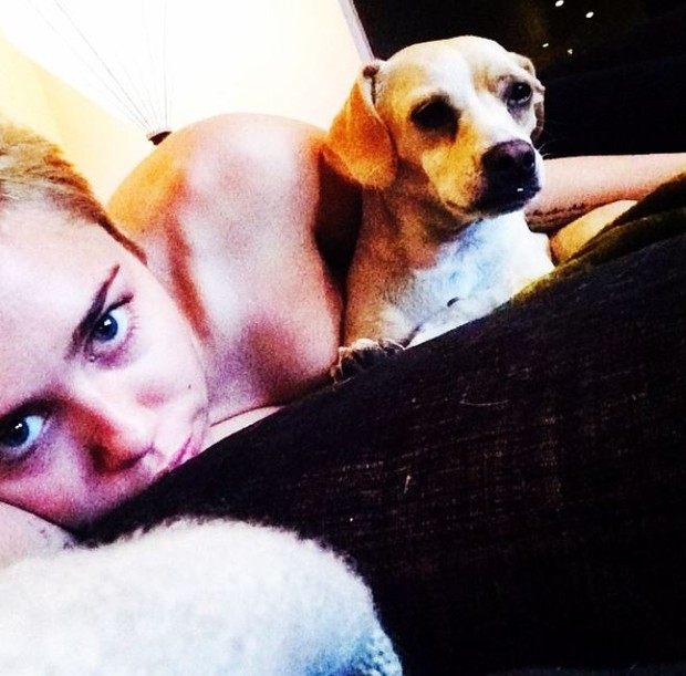 Miley Cyrus e Bean (Foto: Reprodução/ Instagram)