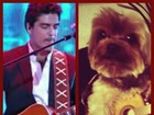 Junno Andrade faz brincadeira com cachorro de Xuxa: 'Tal pai, tal filho'