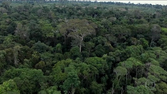 Temer veta MPs que reduzem área protegida de floresta no Pará