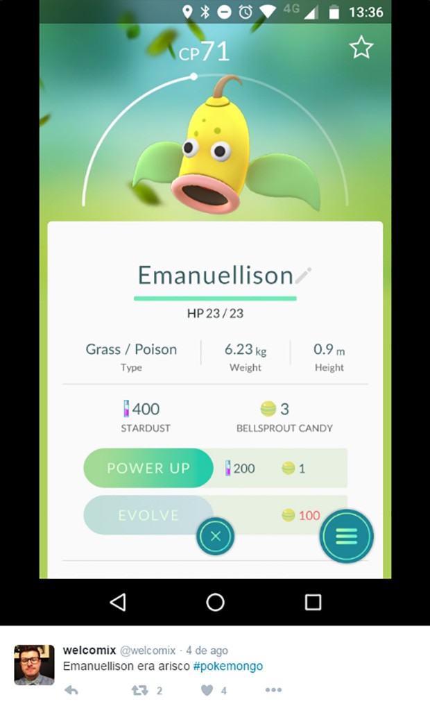 Usuários colocam nomes engraçados nos Pokémon (Foto: Reprodução / Instagram)