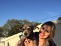 Vanessa Mesquita convida fãs para auxiliar em projeto de ativismo animal